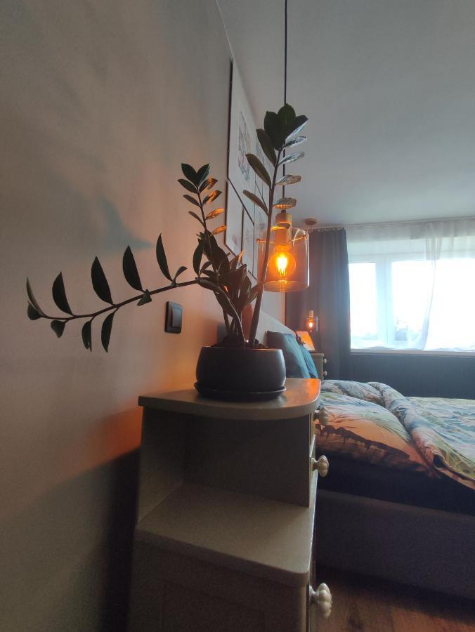 Dian Feelhome Banska Bela Exteriör bild