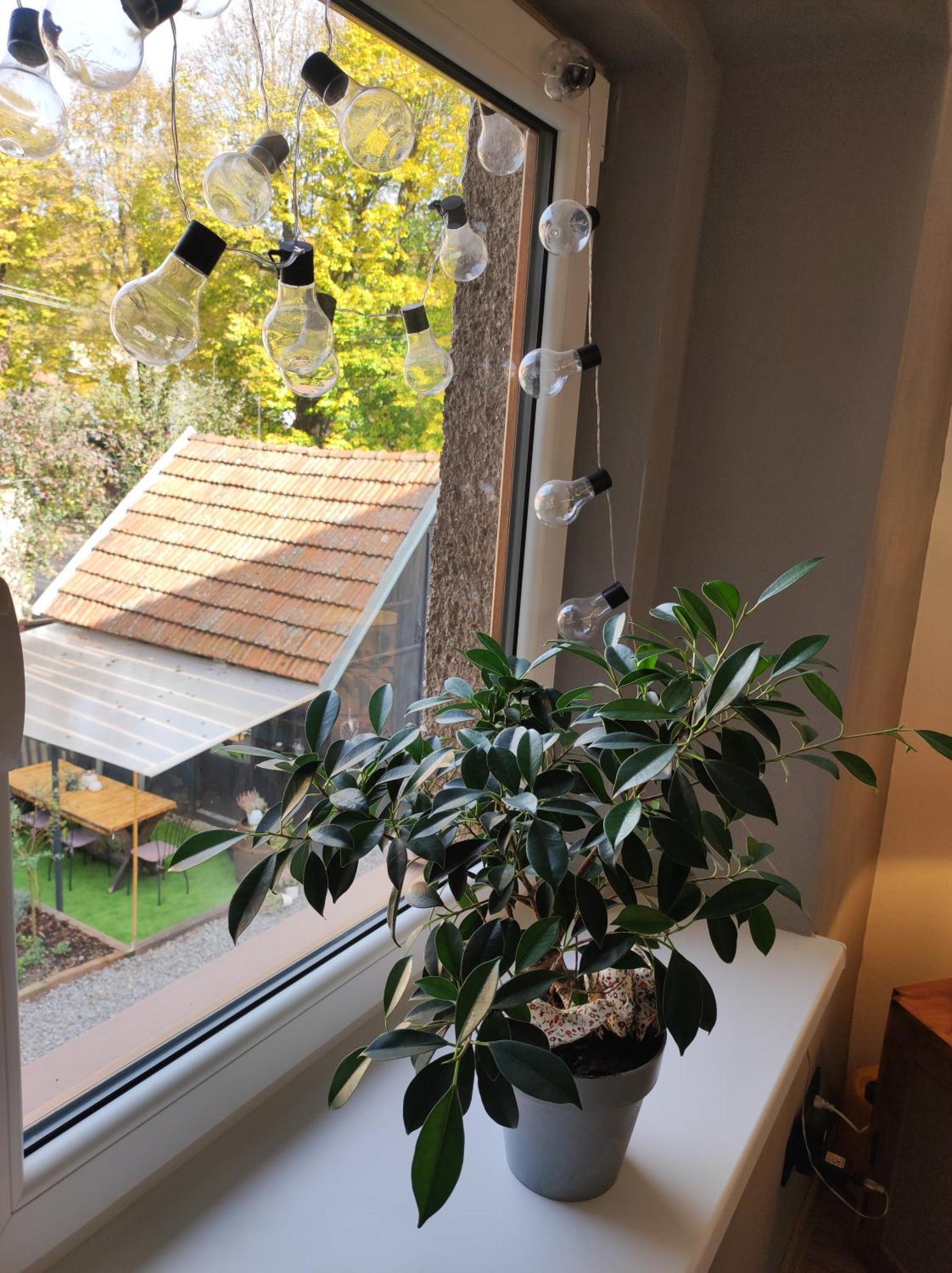 Dian Feelhome Banska Bela Exteriör bild